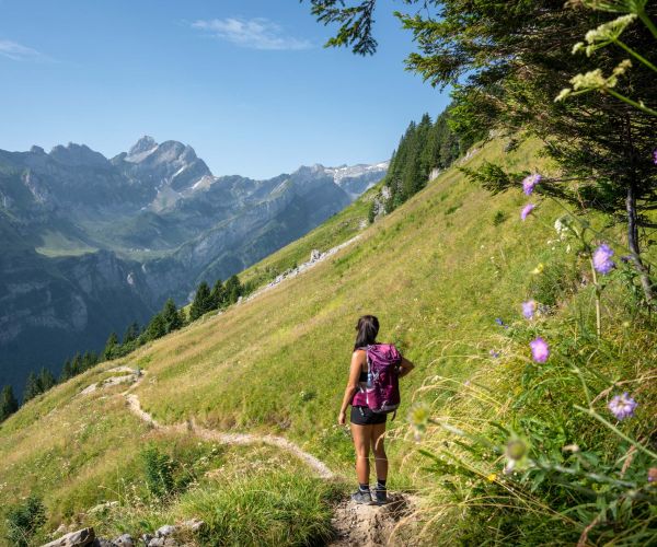 Ebenalp-Füessler-Altenalp-Mesmer-Meglisalp-Seealpsee-Wasserauen